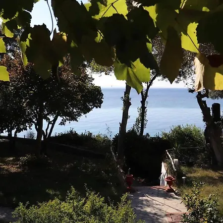 Mathesi Balcony Ελιά